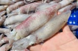 Cách chọn mực tươi ngon: Nắm lấy để dùng khi cần tới