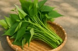 Rau lang – ‘thần dược’ bị lãng quên giúp đẹp da, tốt gan, bổ máu