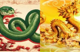 Từ Tết Đoan Ngọ, tài vận không thể cản nổi: 3 con giáp bước vào chu kỳ đại vận, 3 năm giẫm lên tiền