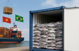 Một loại cá quen thuộc ở Việt Nam, giàu protein hơn cá hồi, vừa được Brazil nối lại nhập khẩu