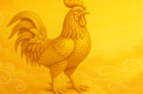 Cuối tuần này (10 - 11/5): 2 con giáp vận đỏ bất ngờ, 2 con giáp chớ nên vội vàng kẻo rước xui xẻo