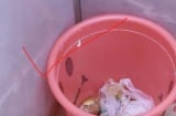 Tổ tiên dặn dò: Đặt thùng rác sai 3 vị trí này, tiền bạc đội nón ra đi, nghèo suốt đời không khá nổi