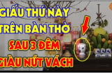 Cúng Rằm giấu thứ này trên bàn thờ: Sau 3 đêm Phúc Lộc tràn trề, ai không biết quá phí