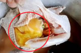 Bụng gà có 1 cục mỡ vàng: Nên ăn hay bỏ? Chỉ người sành ăn mới biết dùng