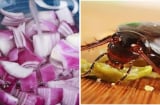Đặt một củ hành tây ở góc phòng: Chúng có 3 công  tuyệt vời, ai ai cũng thích mê