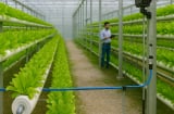 Ngành học bị 'ghẻ lạnh' nhưng ra trường lương 15–30 triệu/tháng: Cơ hội lớn đang bị bỏ lỡ?
