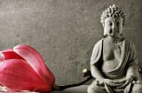 Phật dạy vay tiền không trả không hẳn là xấu, tại sao vậy?