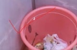 3 vị trí đại kỵ đặt thùng rác khiến gia chủ nghèo mãi không ngóc đầu lên