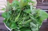 8 loại rau sạch, ngon, bổ dưỡng bạn nên mua ngay khi đi chợ – Không lo bị phun thuốc!