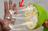 Bóc mít dính đầy nhựa trên tay? Dùng ngay gia vị quen thuộc này, sạch bong trong vài giây