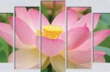 Trong nhà có 3 bức tranh phong thủy may mắn này, cuộc đời bạn sẽ thay đổi hoàn toàn tích cực