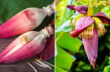 Hoa chuối - món ăn dân dã mang lại 8 lợi ích tuyệt vời cho sức khỏe