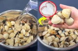 Rửa ngao ốc, người cho ớt, người cho rượu, sai hết: Thêm vào thứ này ngao ốc nhả sạch bẩn