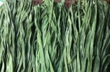 Loại rau quý hơn thịt, bổ như nhân sâm, bán rẻ ở chợ nhưng ít ai để ý