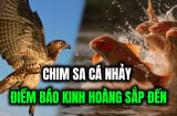 Các cụ nhắc: Chim sa tận nơi không bắt, cá nhảy tận bờ không ăn', vì sao?