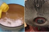 Mẹo vệ sinh quạt điện không cần tháo khung: Sạch bong chỉ sau vài phút, ai cũng làm được