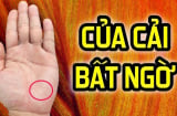 Thầy Tử vi chỉ rõ: Nhìn tướng tay hay hơn tướng mặt, người có 4 điều này 3 đời tiêu không hết của