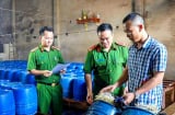 Mới Nhất: Khởi tố chủ cơ sở sản xuất 60 tấn giá đỗ ngậm hóa chất, người dân chú ý phân biệt giá đỗ