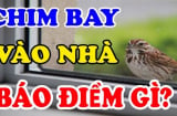 5 con vật Đệ Tử Thần Tài: Bước chân vào nhà nào nhà đó cực kỳ giàu có