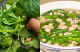 Loại rau rẻ bèo ở Việt Nam, nhiều người ăn qua mà không biết: Giải nhiệt, bổ máu, đẹp da cực tốt