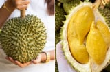 Mua sầu riêng phải nhìn đúng điểm này, chọn được chín ngọt tự nhiên, không hóa chất