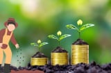 Top 3 tuổi con giáp nam giới: Giàu sang lại Chung Thủy, trong mệnh có Vàng, phụ nữ phúc lớn mới lấy được