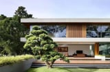 3 cây cảnh này, nhà giàu thường trồng để chiêu tài vượng lộc, gia đình sum vầy vui vẻ, hạnh phúc