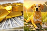 Đất Trời Chứng Dám: 3 tuổi Ăn Ở Phúc Đức, Tiền vào như nước Sông Đà, 1 tuổi Trúng Số ngồi không cũng giàu