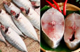 Ai không nên ăn cá? Cá bổ dưỡng đến cũng không được động đũa