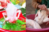 4 Mẹo làm sạch lông vịt, nhổ sạch lông măng, thịt không bị hôi