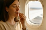 Bí quyết phòng bệnh khi đi xe, máy bay: Uống gì trước 2 giờ để bảo vệ sức khỏe?