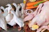 Ra chợ mua thịt vịt, nhớ nhìn điểm này thịt vịt ngon ngọt không hôi, ít mỡ nhiều nạc