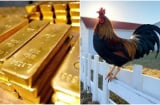 Gà gáy sang canh ngày 1/6: 3 tuổi Âm Phù Dương Trợ, Vận Khí Tăng Cao, Tiền về như nước