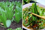 Loại rau 'bình dân' canxi gấp 36 lần nước hầm xương, bổ hơn tổ yến: Chợ Việt bán rất nhiều giá rẻ như cho