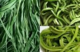Bật mí loại rau đắt hơn thịt, bổ ngang nhân sâm, Việt Nam có nhiều nhưng ít người biết để ăn