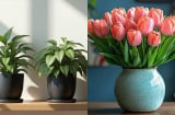 Rắc một nắm thứ này vào chậu, hoa dù khó trồng đến mấy cũng bật rễ, xanh lá, đầy tràn chậu