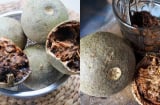 Ruột đen, vỏ mốc trắng, mùi kỳ quặc – Món đặc sản lạ khiến thực khách mê mẩn
