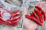 Mẹo bảo quản ớt 6 tháng không hỏng