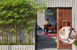 3 thứ không đặt trước cửa, không trồng 3 cây ngoài sân: Là cây gì, thứ gì?