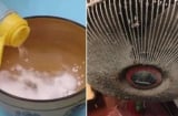 Cách vệ sinh quạt điện sạch bong như mới, không cần tháo khung, chỉ mất vài phút
