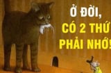 Cuộc đời chỉ có 2 thứ thật sự thuộc về bạn: Có người đến cuối đời mới nhận ra đã quá muộn