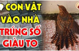 4 con vật vào nhà Đệ Tử Thần Tài: Trúng Số giàu to