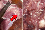 Cách nhận biết thịt lợn bệnh: Đi chợ hay siêu thị, thấy thịt lợn có đặc điểm này, tuyệt đối không mua
