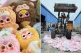 Tiêu hủy gần 2.000 Baby Three chứa Formaldehyde vượt mức cho phép: Chất này nguy hiểm như thế nào?
