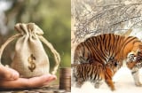 3 con giáp càng làm càng giàu, ở hiền gặp lành: Cuối năm 2025 tắm trong cơn mưa tiền khiến mọi người trầm trồ