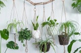 4 yếu tố trong phong thủy làm gia tăng thịnh vượng cho gia chủ