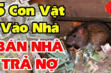5 con vật này vào nhà Chặn Cửa Tài Lộc mang theo xui xẻo: Đặc biệt loại thứ 2 đuổi ngay kẻo khánh kiệt