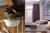 5 hiện tượng báo tin trúng lộc trời, nhà sắp đón tiền tài ùn ùn kéo đến