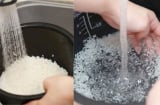 Vì sao không nên Vo Gạo bằng Ruột Nồi Cơm Điện? Thói quen tiềm ẩn 5 tai họa không ngờ