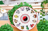 Chọn Cây cảnh Phong thủy cho 12 con giáp, Cây hợp Tuổi để Thu hút Tài Lộc, Gánh Vàng Hốt Bạc Giàu sang